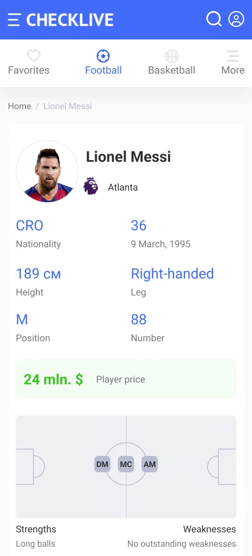 Mobile Version - mobile interface 12