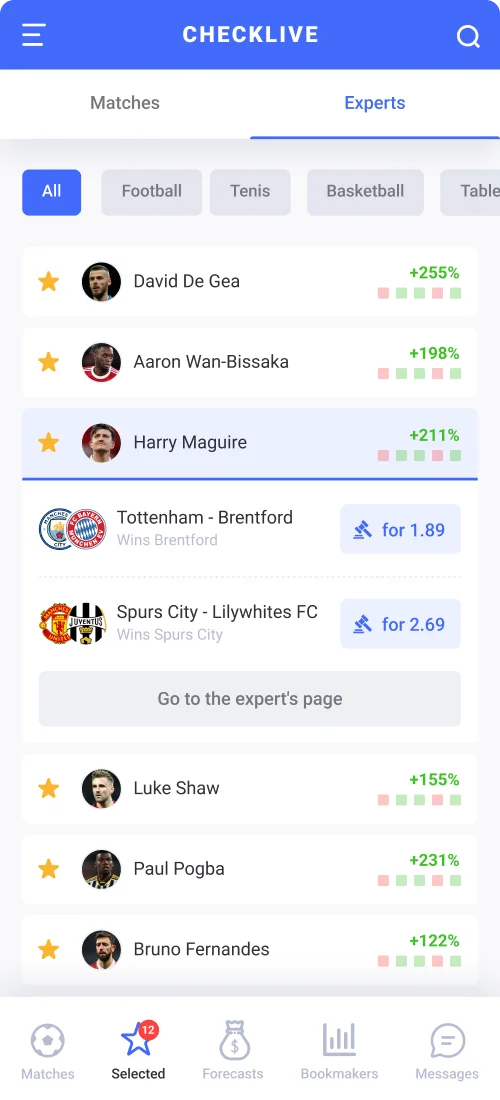 Mobile Version - mobile interface 5