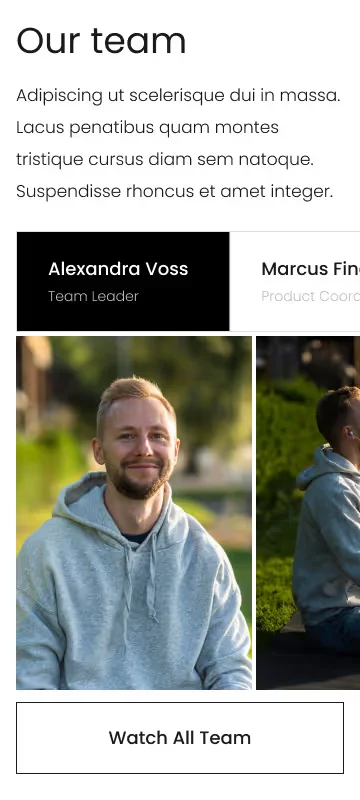 Mobile Version - mobile interface 5