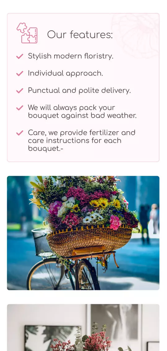 Mobile Version - mobile interface 11